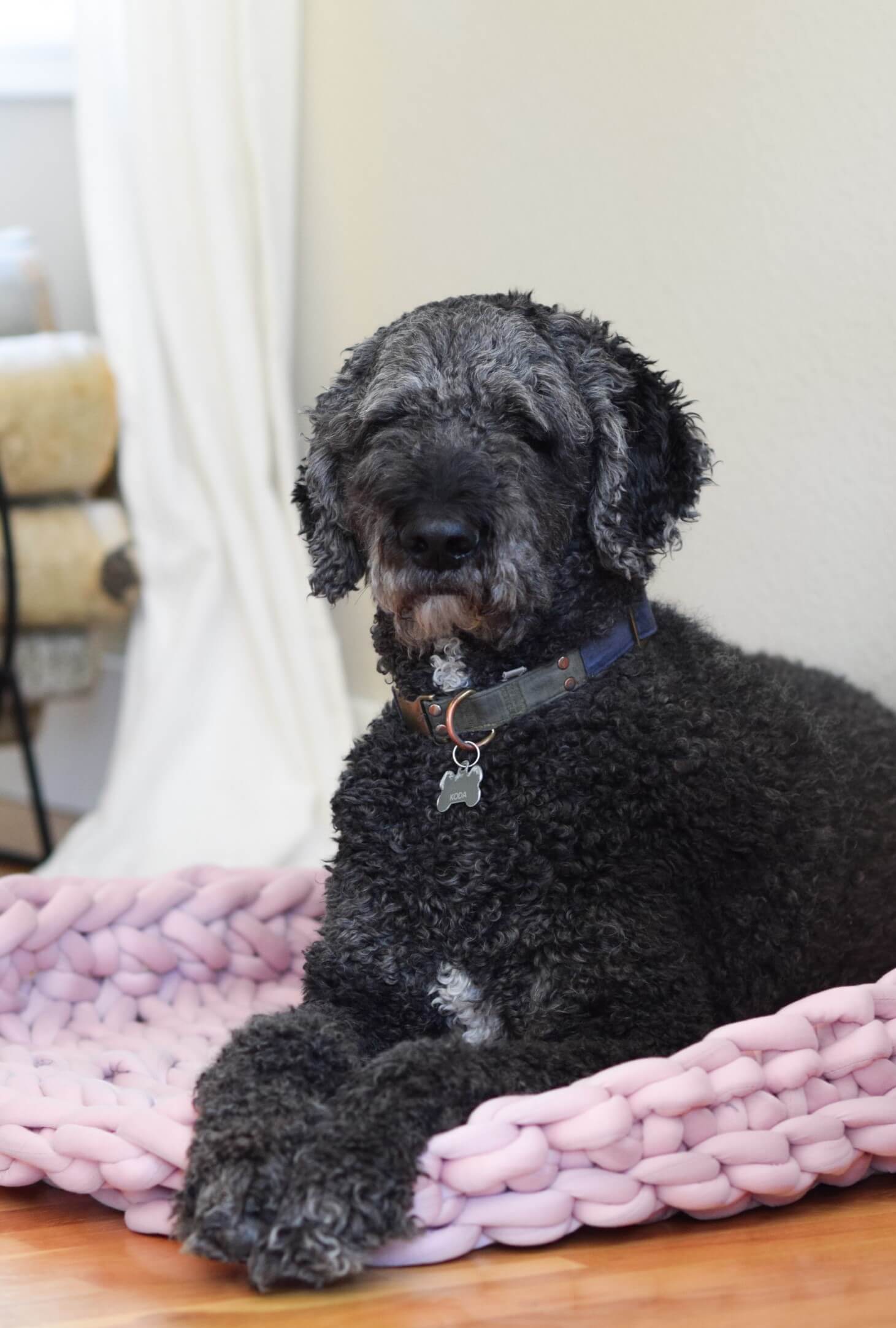 Knit Kit - Squishy Lux Pet Bed