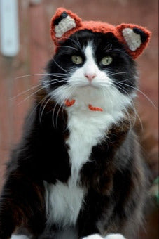 Cats In Hats - Feline Fox (Crochet)
