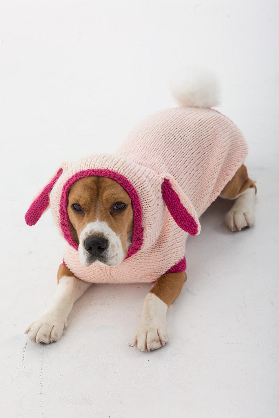 Bunny Dog Costume Pattern (Knit)