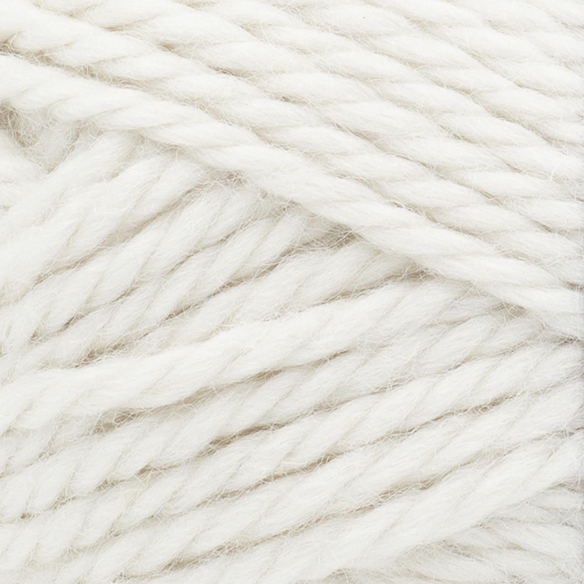 Basic Stitch® Anti-Microbial Thick & Quick® Yarn - Discontinued