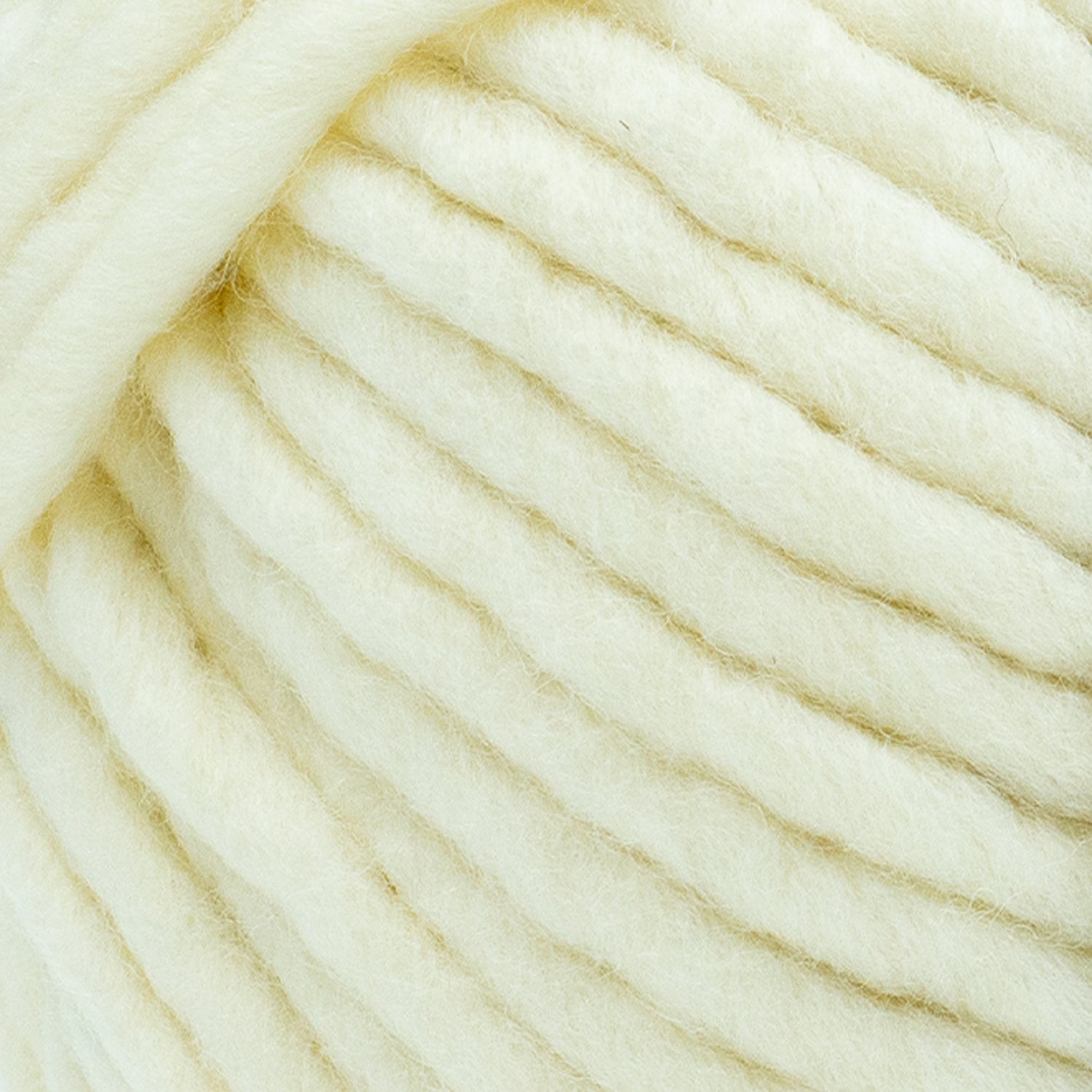 Wool-Ease® Roving Bonus Bundle® Yarn - Discontinued