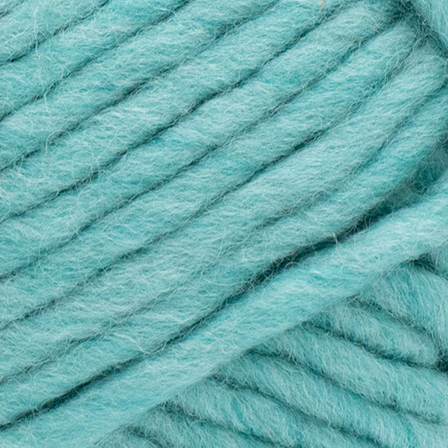 Wool-Ease® Roving Bonus Bundle® Yarn - Discontinued