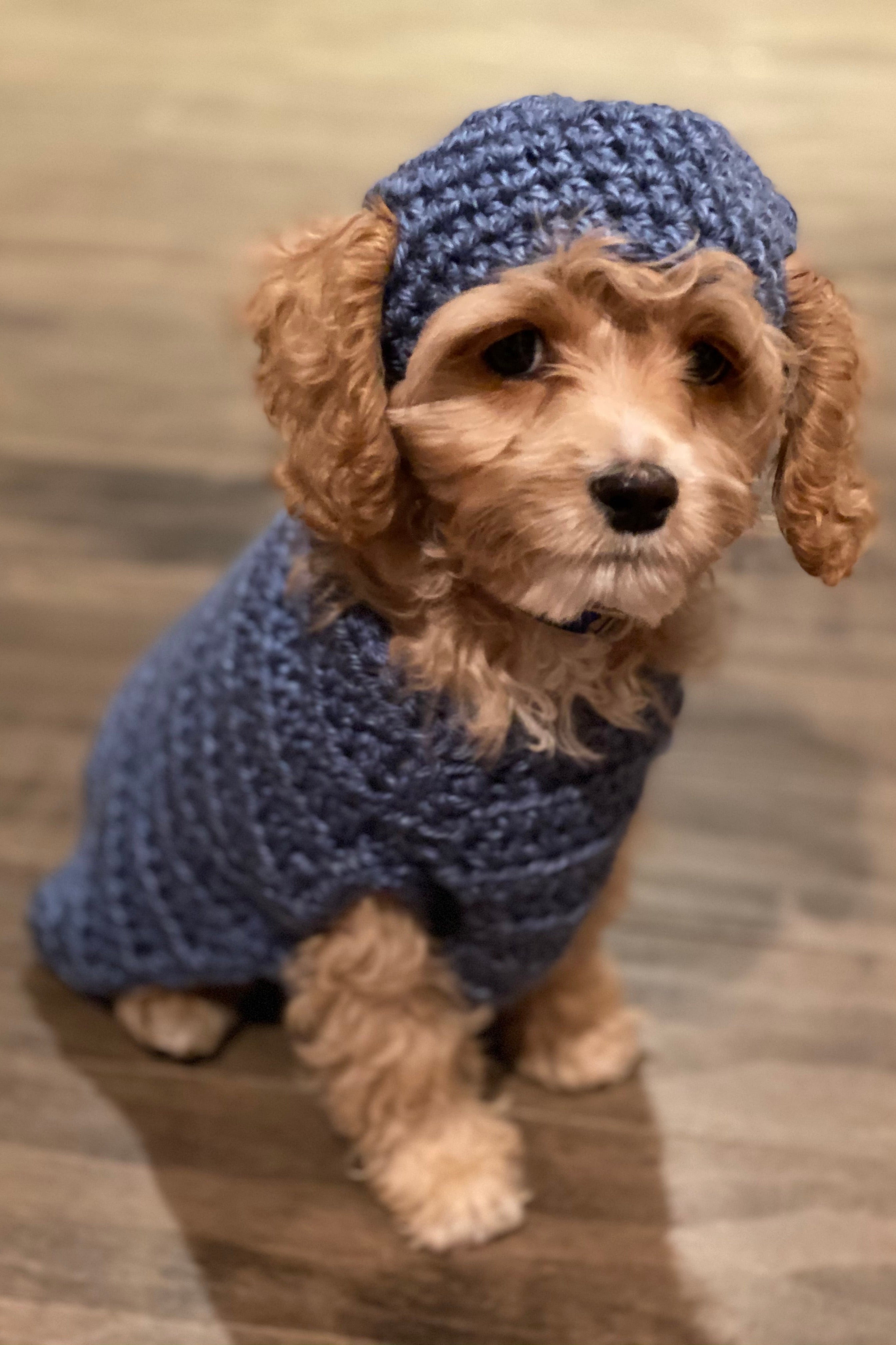Boychick's First Sweater and Hat (Crochet)
