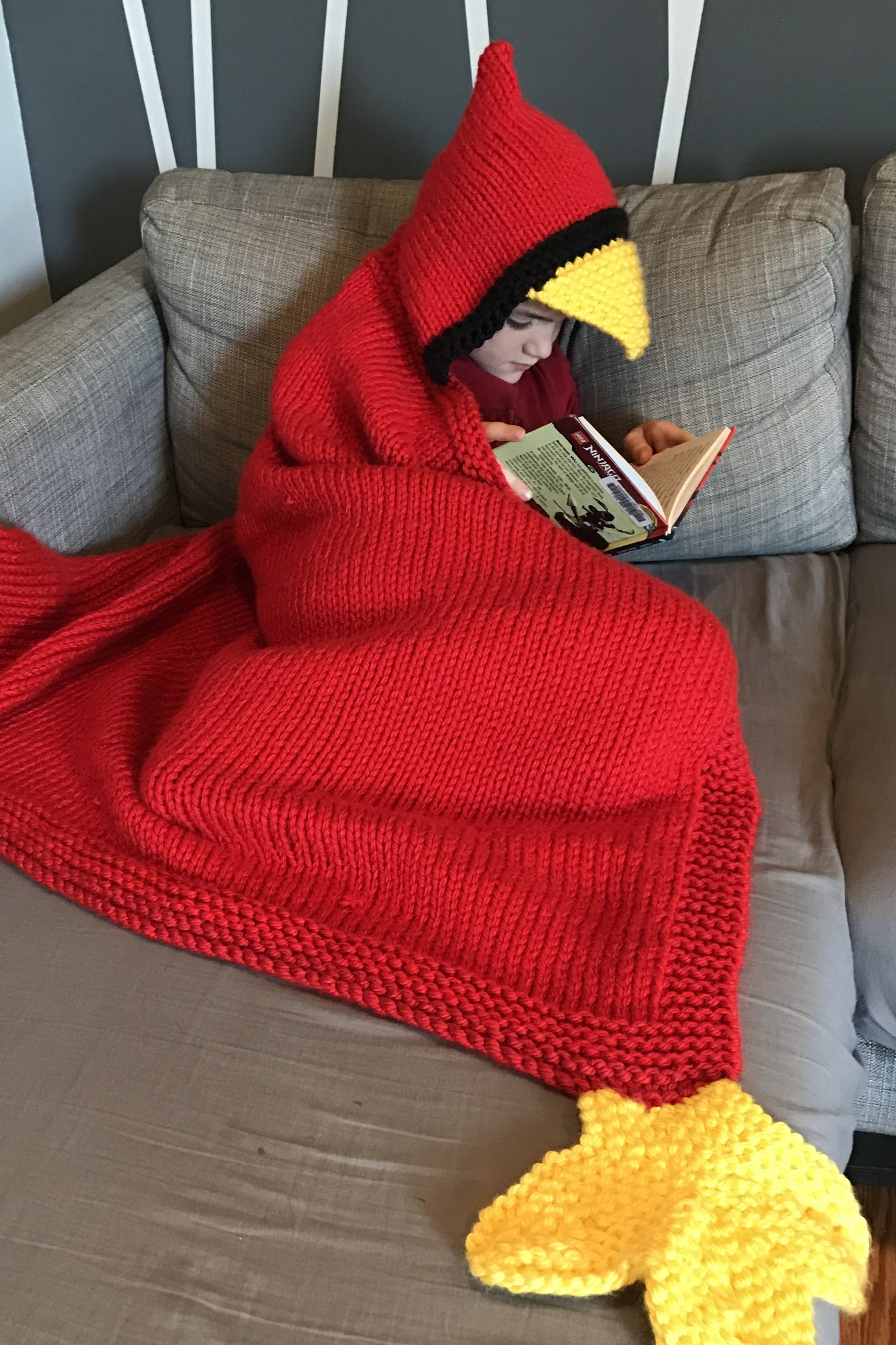 Knit Kit - Hooded Bird Blanket