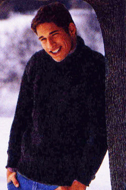 Knitted Mock Turtleneck Pullover (Knit)
